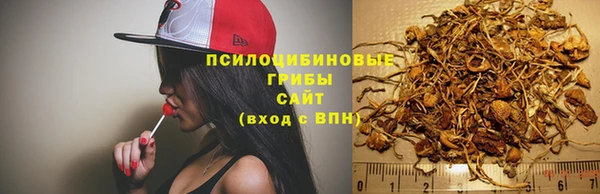 хмурый Богородск