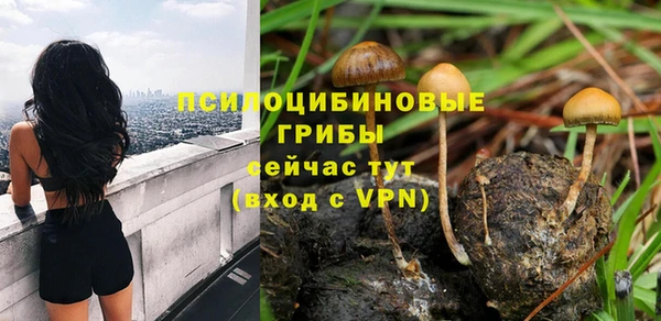 кокс Богданович