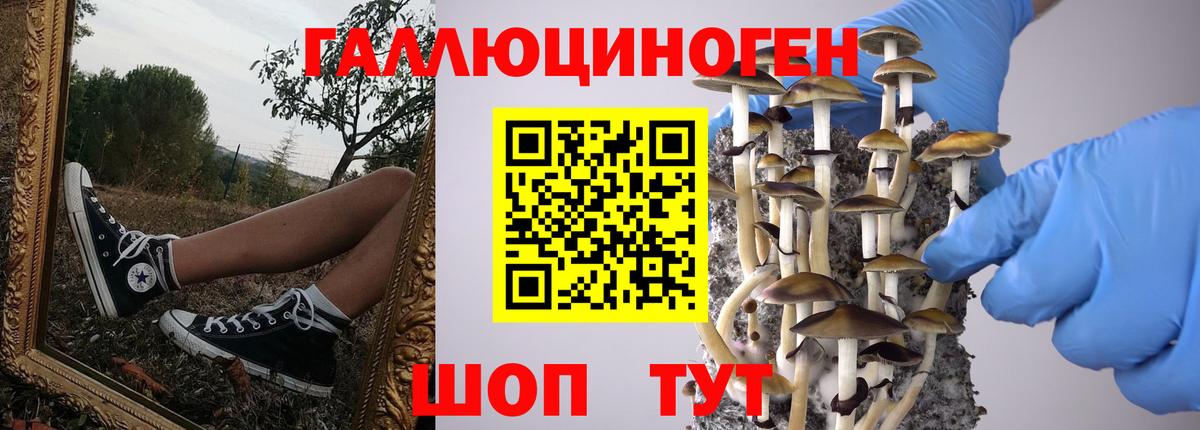 Малоярославец  Галлюциногенные грибы прущие грибы  Вход с VPN 