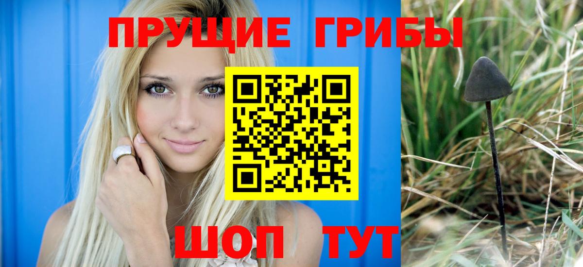 Гашиш  Экстази  МЕФ   Меф  Малоярославец  Канабис  Вход с VPN 